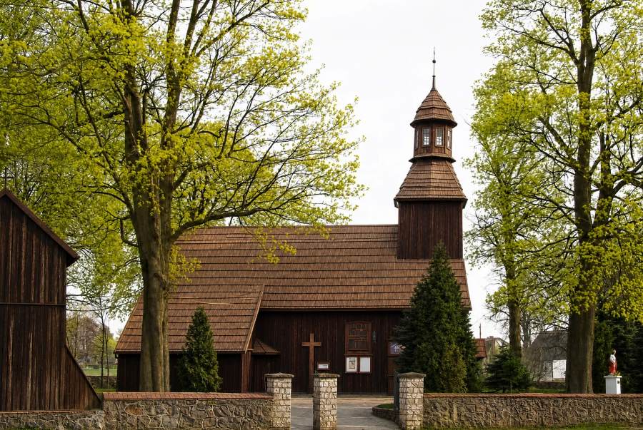 zdjęcie testowe